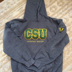 Colorado State University Veterinary Medicine Hoodie